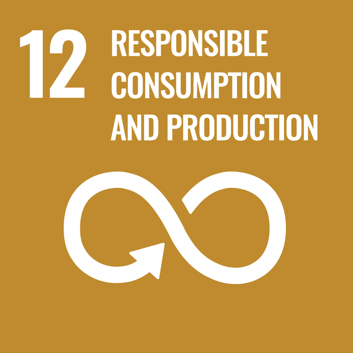 UN Sustainability Label 12 - Responsible Consumption and Production.